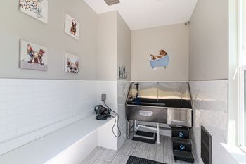 pet wash photo at The Parker Myrtle Beach, Myrtle Beach, 29588